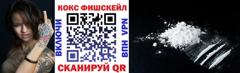Купить закладки  Партизанск  COCAIN Перу 