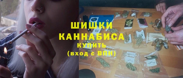 амф Пестово