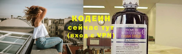 амф Пестово