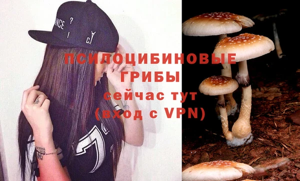 амф Пестово
