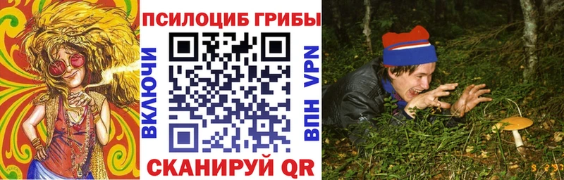 Купить закладки Партизанск Галлюциногенные грибы GOLDEN TEACHER